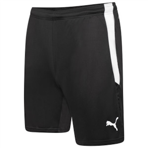 Puma Team Liga Training Shorts 2 65766756