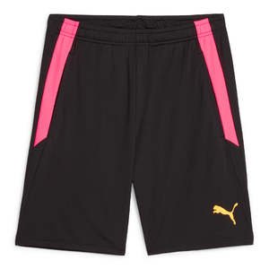 Apparel Football: Puma Team Liga Training Shorts 65766757