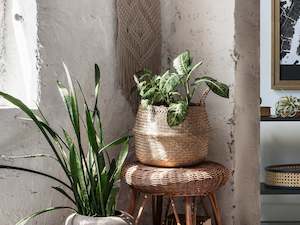 Furniture: Seagrass Woven Basket Belly Basket - Set of 2 - S/M