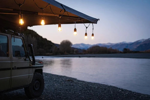 Products: 12v outdoor festoon lights The Garage Project
