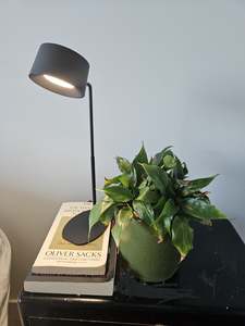 LED Touch Lamp