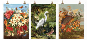 Vintage Bird Tea Towels by Tanya Wolfkamp