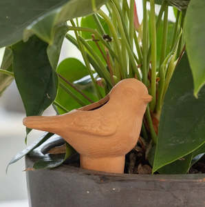 Outdoor: Little Terracotta Bird Waterer