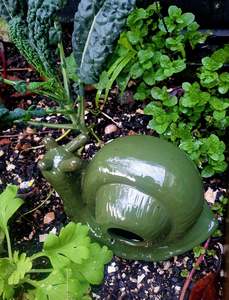 Snail Slug Trap