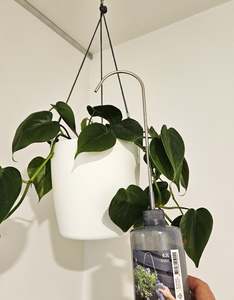 Watering Bottle for Hanging Plants