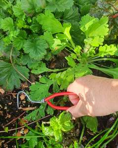 Gifts That Are Good To Send: Wonder Weeder