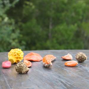 Small Sculpture: Hannah Valentine - Natural Processes (Cy, Part 2), 9 Pieces, Edition 2/3