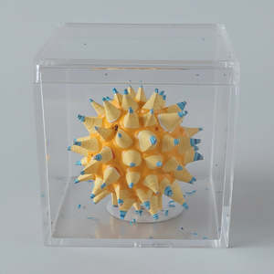 The Star Seed - Small