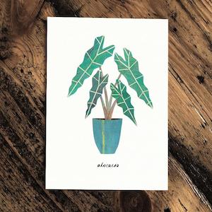 Bundable App: Alocasia - Greeting Card