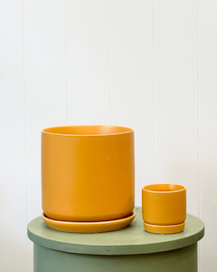 Plants: Oslo Planter Tobacco