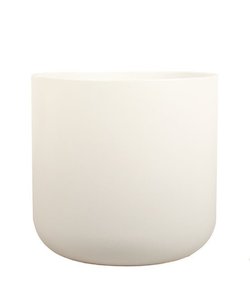 All: Ivy Cream ceramic pot