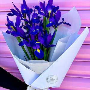 Pretty Petaly Things: Seasonal Special: IRISES