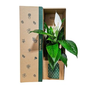 Bundable App: Peace Lily White Flowers