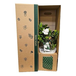 Bundable App: Gardenia White Flowers