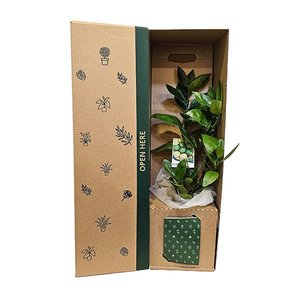 Bundable App: Lime Tree