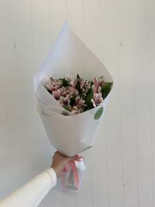 Products: Alstroemeria Special!