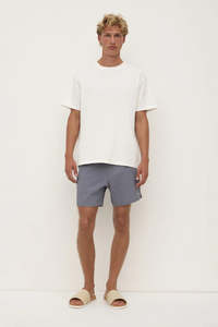 ASSEMBLY LABEL Seth Swim Short | Alphasalt