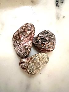 Products: Leopard Skin Jasper