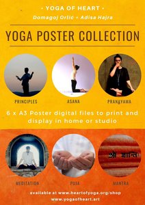 Products: Series of 6 Yoga Education Posters by Domagoj Orlić & Adisa Hajra Heart of Yoga