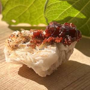 Vanadinite on gypsum - The Hidden Gem