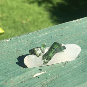 Products: Green tourmaline in quartz - The Hidden Gem