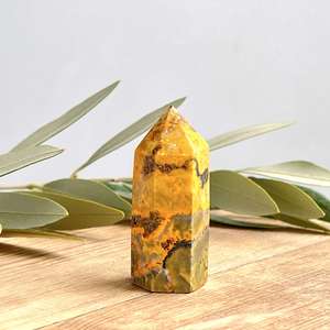 Cut and Polished: Bumble bee jasper tower - The Hidden Gem