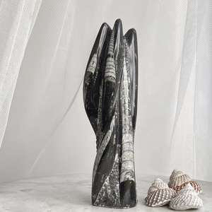 Orthoceras tower - The Hidden Gem