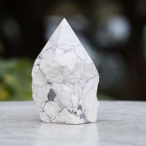 Howlite - part polished - The Hidden Gem