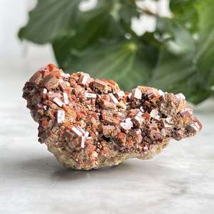 Vanadinite on gypsum - The Hidden Gem