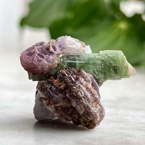 Watermelon tourmaline - The Hidden Gem