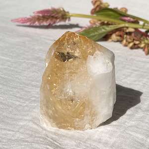 Citrine point - The Hidden Gem