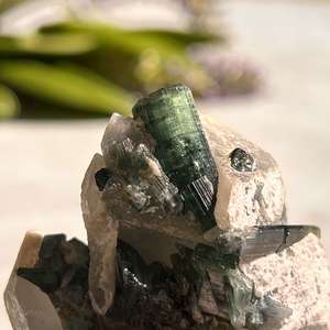 Green tourmaline in quartz - The Hidden Gem