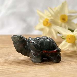 Bloodstone turtle - The Hidden Gem