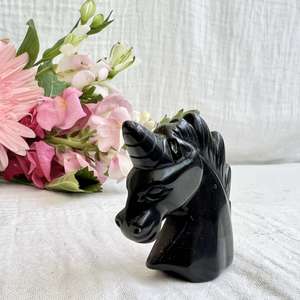 Obsidian unicorn - The Hidden Gem