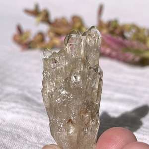 Citrine cluster - The Hidden Gem