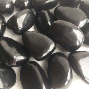 Shungite - The Hidden Gem