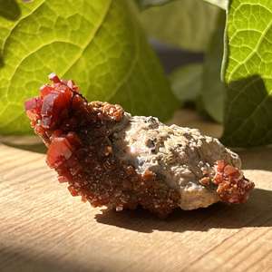 Vanadinite on gypsum - The Hidden Gem