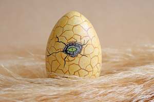 DIY Collection: Hatching Dinosaur Egg
