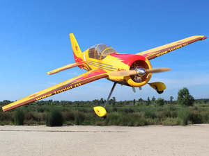 YAK 54 73 Inch ARF 35-40cc 3D by Seagull