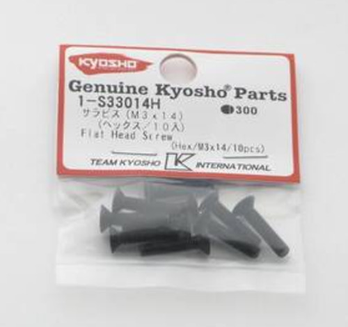 Hex FH Screw (M3x14)(10)