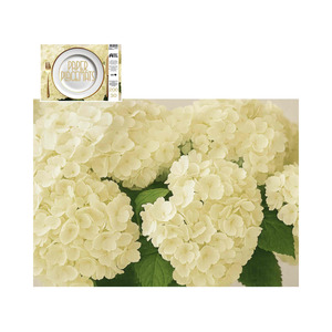 Tableware: Direct Paper Cream Hydrangea Paper Placemats Pack of 30