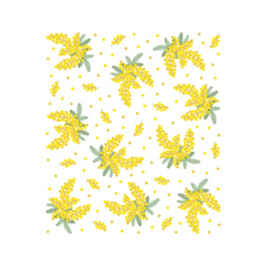 Nawrap Dishcloth Mimosa