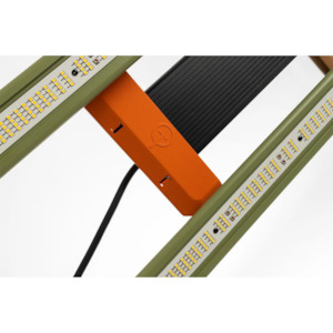 Lighting: Treegers 650W LED