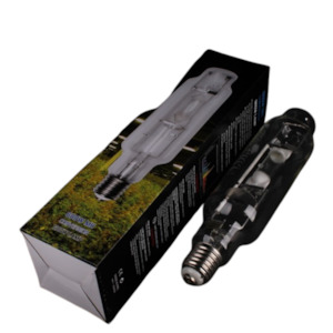 MH Conversion Bulb 600W