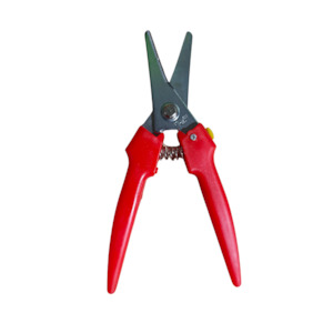 Craft Shears