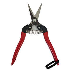 Pruning: ARS Scissors