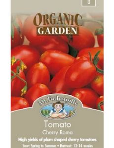 Tomato - Cherry Roma