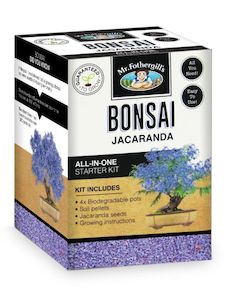 Bonsai Starter Kit - Jacaranda