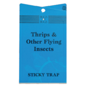Bugs Sticky Trap