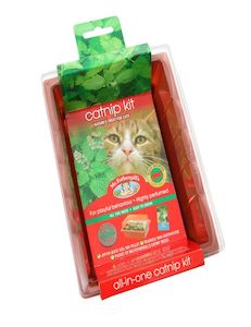 Seeds: Catnip Seed Raiser Kit